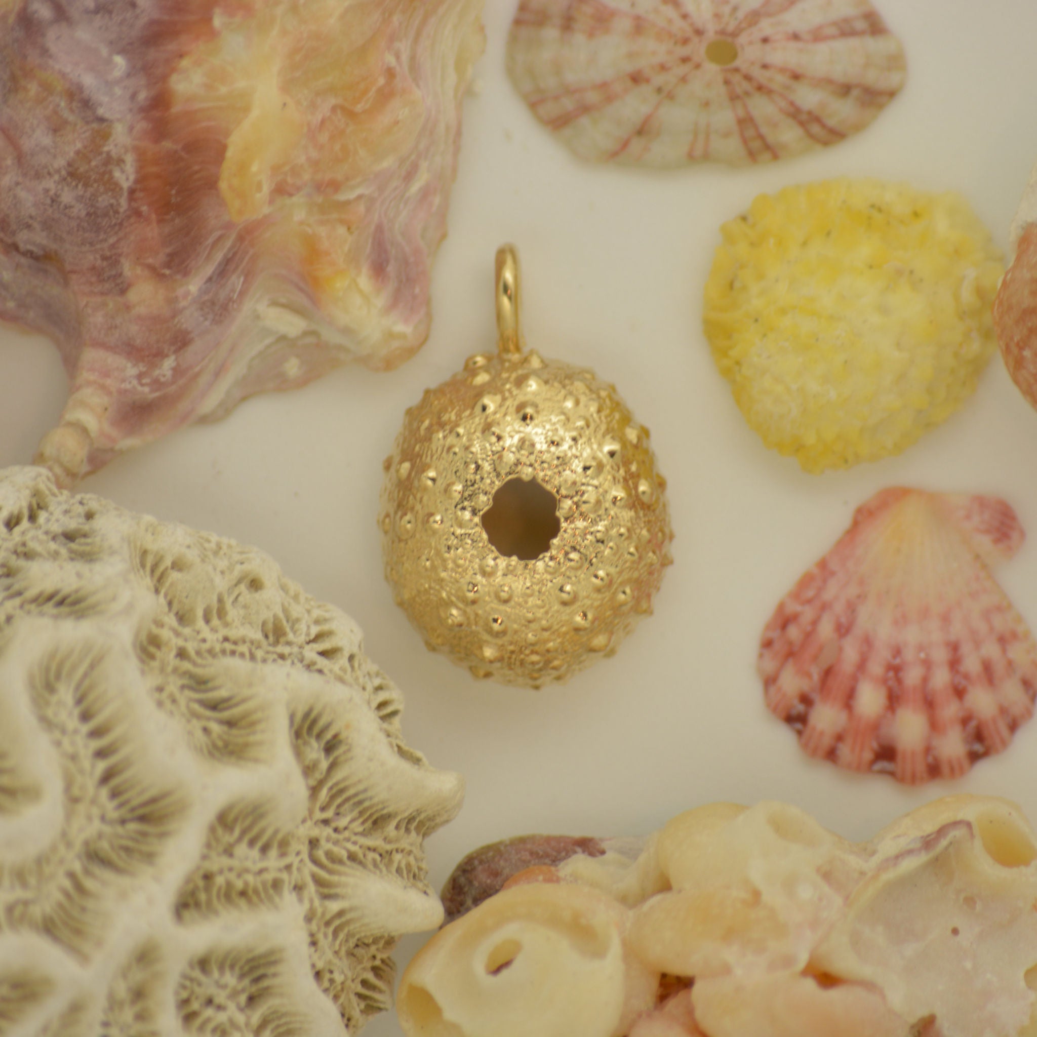 14K Gold Sea Urchin - eGallery Shoppe