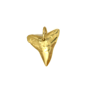 14K Gold Sharks Tooth 4.4g - eGallery Shoppe