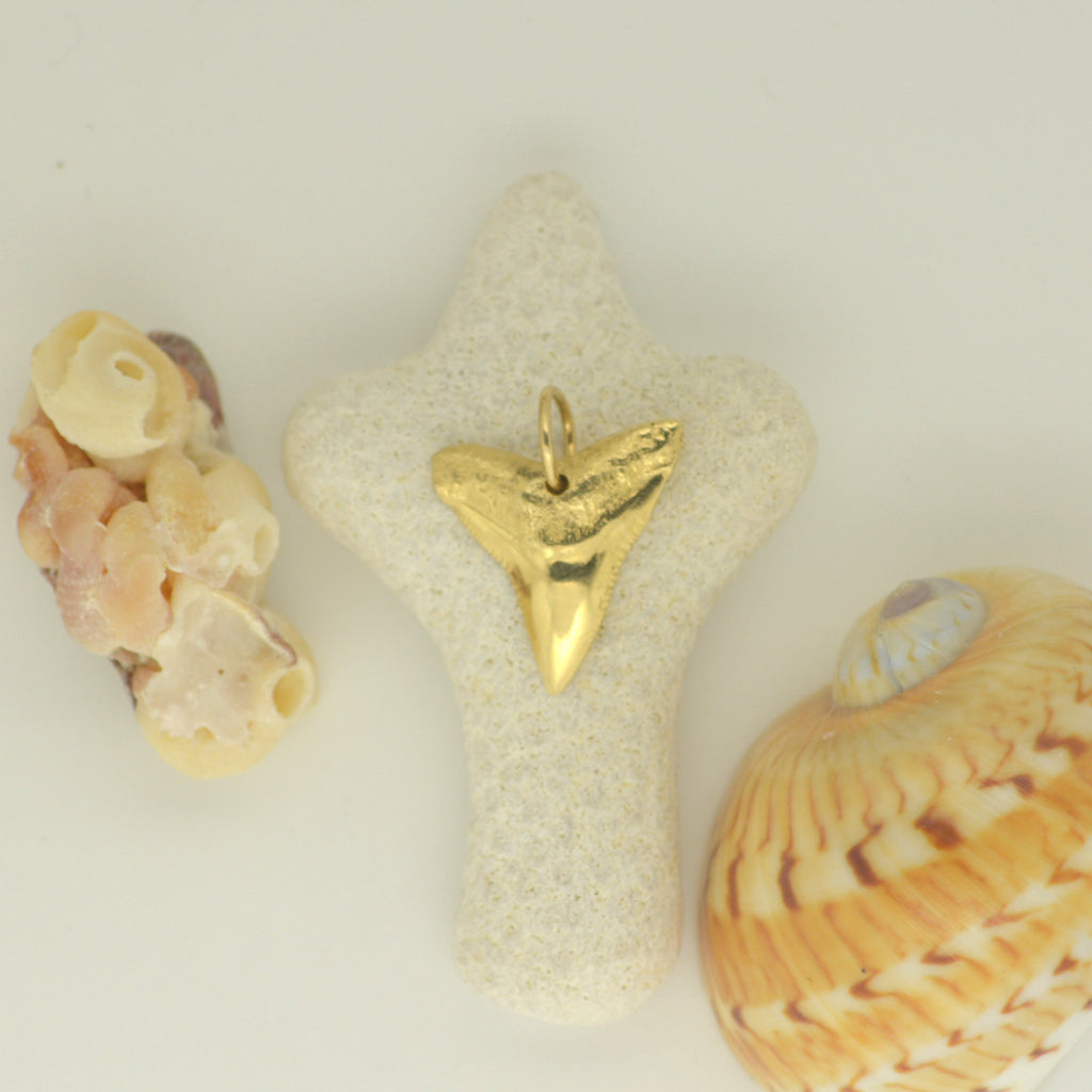 14K Gold Sharks Tooth 4.4g - eGallery Shoppe